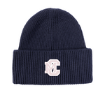 Ribbed Beanie Navy & Green